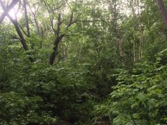-道须沟旅游风景区