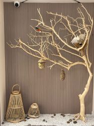 -悦尚生活空间•瑜伽普拉提•悦心芳香疗愈SPA