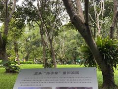 -野象谷景区