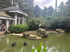 -黔灵山公园