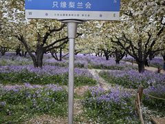 -江苏三台山国家森林公园
