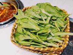 茼蒿-围炉夜话·潮汕卤水火锅(榕江店)