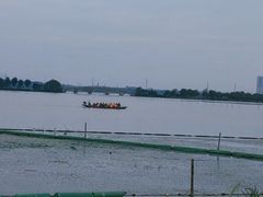 -金银湖国家城市湿地公园