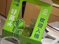 -万向城(裕华路店)