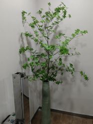 -上海首尔丽格医疗美容医院
