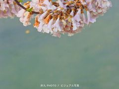 -红星桥(地铁站)