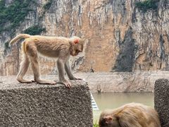 -白帝城·瞿塘峡景区
