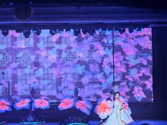 -金东尼人妖秀