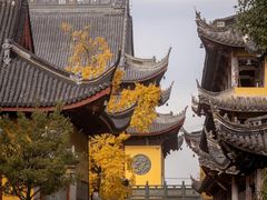 -上海青龙寺