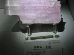 -湖南省地质博物馆