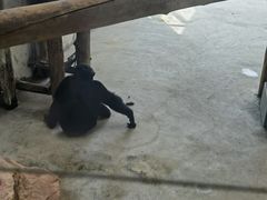-太原动物园