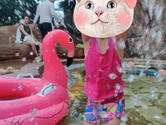 -杭州开元森泊度假乐园