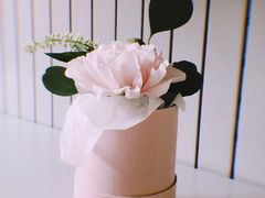 -蝶舍·MAISON PAPILLON