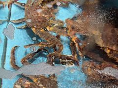 -阿伟海鲜楼·福建菜(延寿店)
