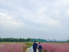 -汉长安城未央宫国家考古遗址公园