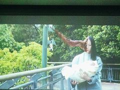 -华夏良子·足道SPA艾灸(王府井店)