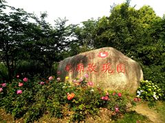 -鹅湖玫瑰文化园