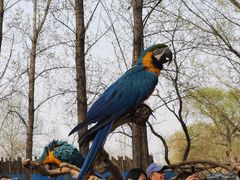 -北京野生动物园