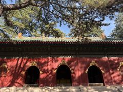 -普乐寺