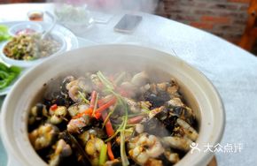 Stone Pot Eel