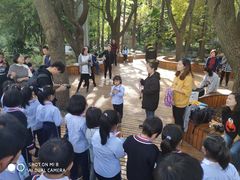 -上海植物园·停车场