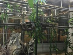 -荔城生鲜盛宴(番禺旗舰店)