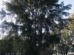 -西昌邛海宾馆