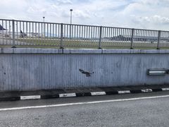 -吉隆坡国际机场