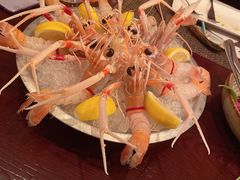 -斯普汇生蚝牛排馆(中骏世界城店)