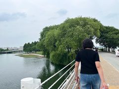 -贡湖湾湿地公园