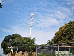 -泉州海丝野生动物世界