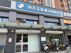 -纳吉亚猫专科动物医院(康都外科中心)