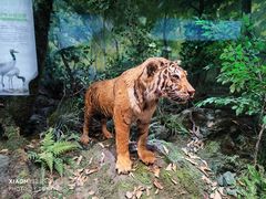 -四川大学博物馆