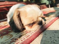 -Oasis Beauty水磨坊科技美肤中心