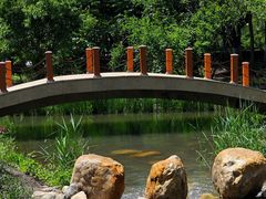 -黑龙江中医药大学