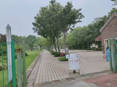 -新江湾城公园