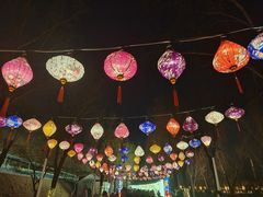 -青龙湖公园