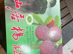 -健身专家Wellness Experts