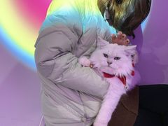 -极木²邸 人与宠物·互动社区