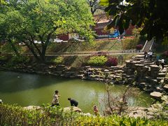 -冶父山国家森林公园
