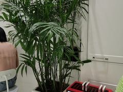 -花沐 FLOWER BATH(凤凰城店)