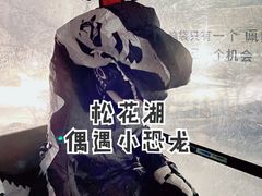 -中旅松花湖滑雪场