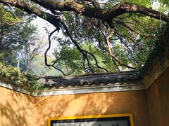 -普陀山慧济禅寺