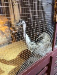 -酷嗒动物文化乐园(cutezoo西溪乐天城店)