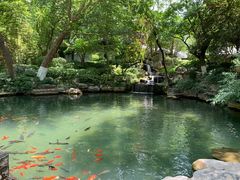-趵突泉景区