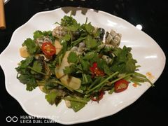 -草鱼先生潮州鱼生·虾生(新厦花园店)