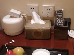 -鼎族怡华·指压·油压·经络(西单昌盛大厦店)