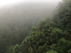-遂昌金矿国家矿山公园