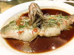 清蒸鲈鱼-首钢一九一九大酒楼(石景山店)