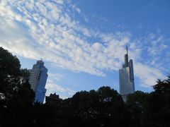 -紫峰大厦